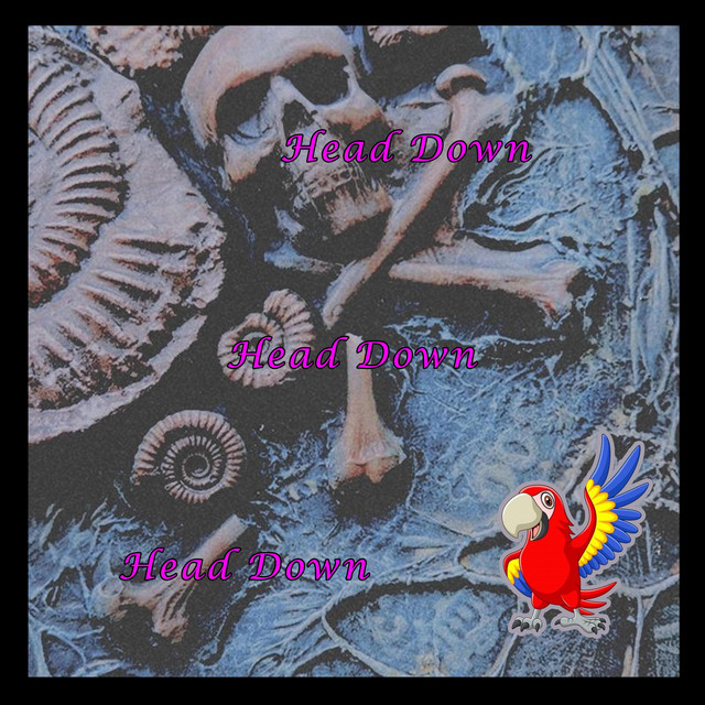 Keep your head down cover art