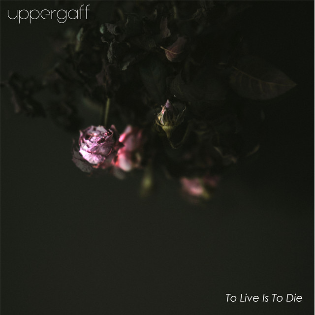 To Live Is To Die (single)