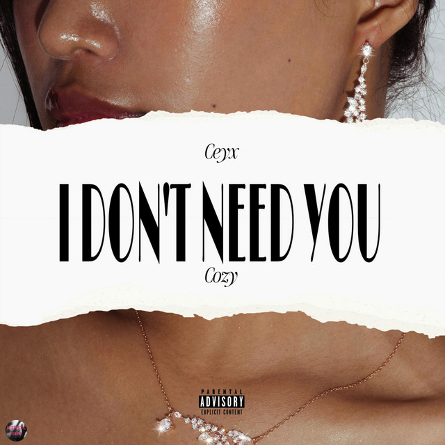 I Don't Need You cover art