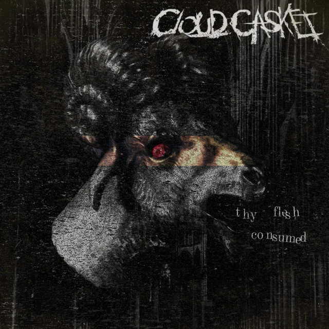 Thy Flesh Consumed cover
