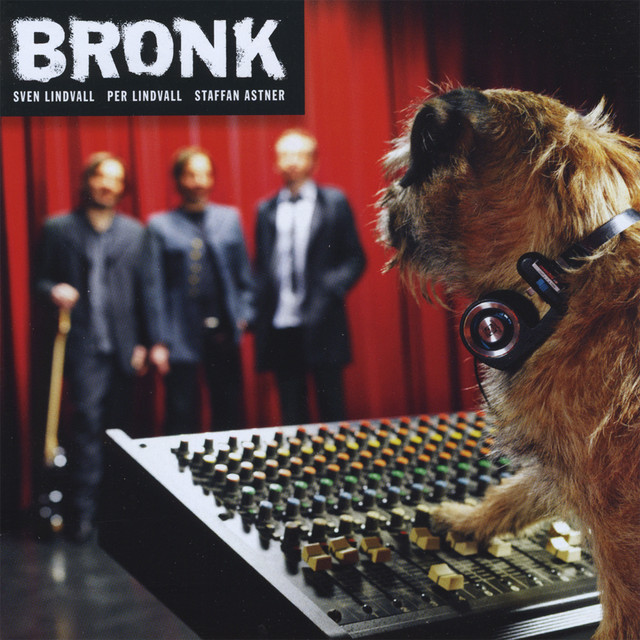 s/t cover art