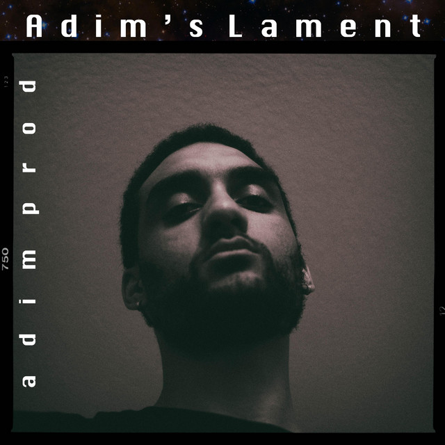 Adim's Lament cover art