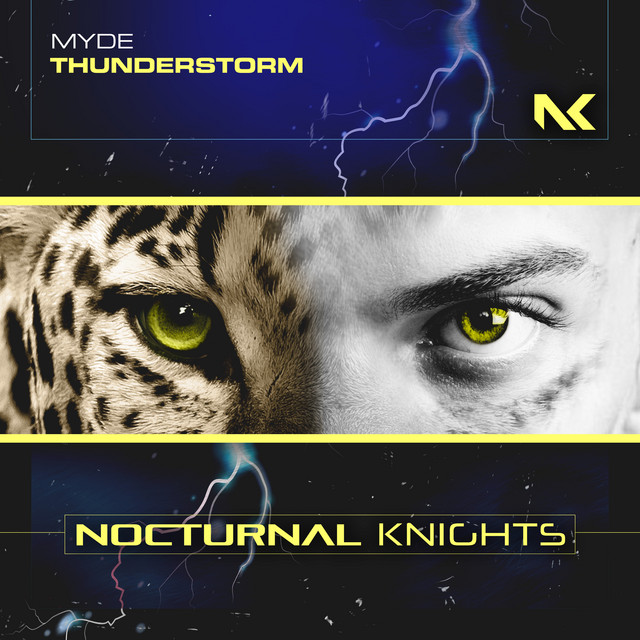 Thunderstorm - Extended Mix album art