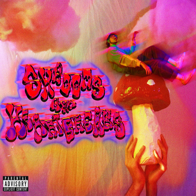 SHROOMS & HEARTBREAKS. cover art