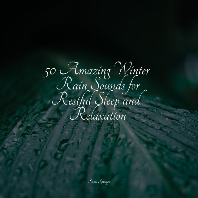 50 Amazing Winter Rain Sounds for Restful Sleep and Relaxation - Album ...