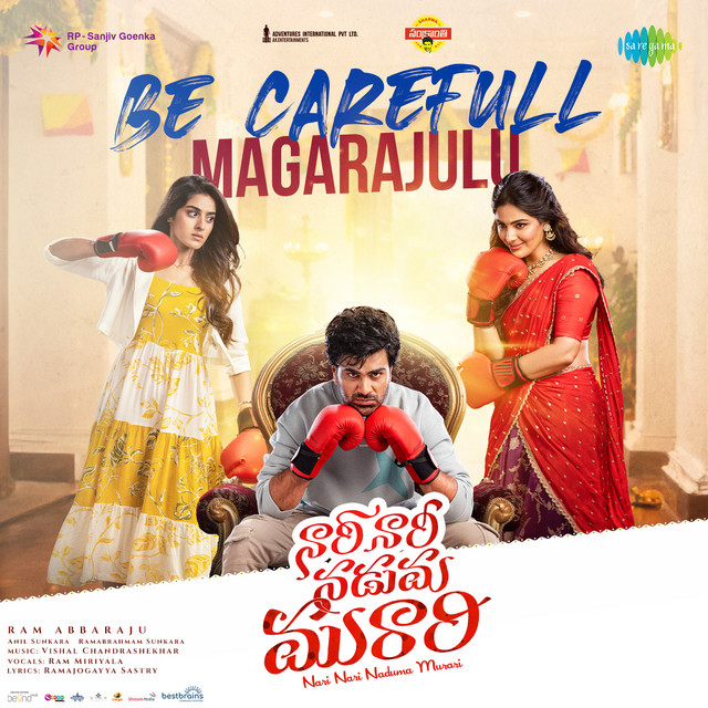 Be Carefull Magarajulu (From "Nari Nari Naduma Murari") cover art