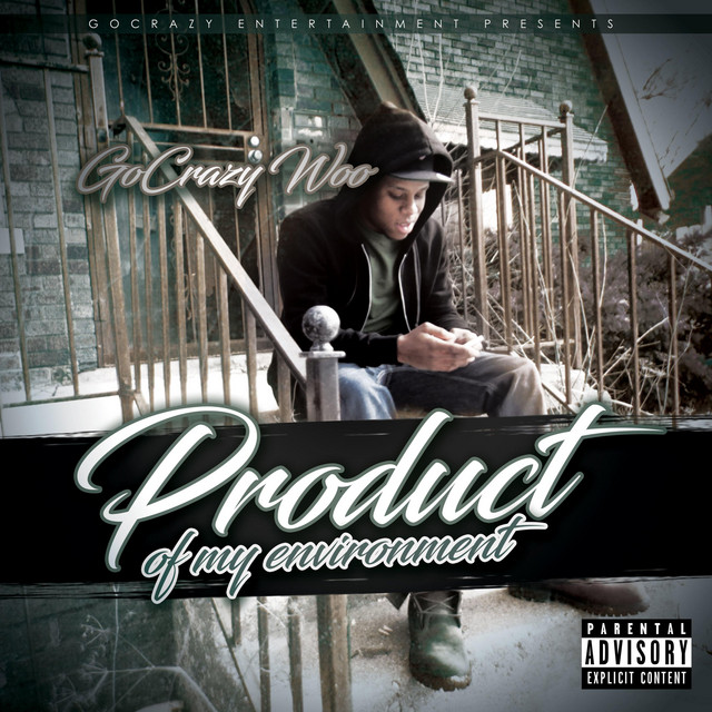 Product of My Environment cover art