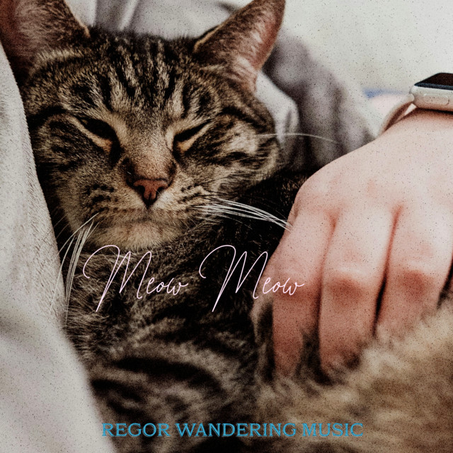 meow meow