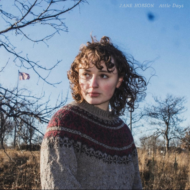 Attic Days cover art
