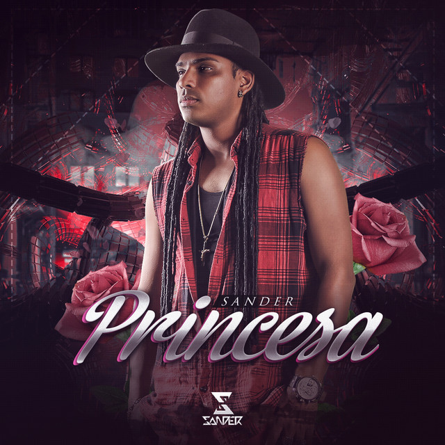 Princesa - Single by Sander | Spotify