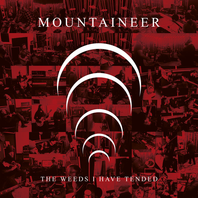 The Weeds I Have Tended (single)