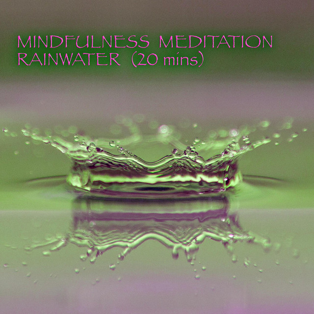 Rainwater Meditation (Long) cover