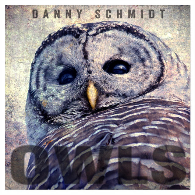 Owls cover art