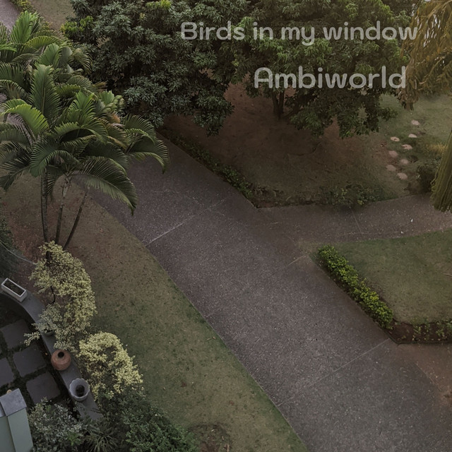 Birds in My Window cover art