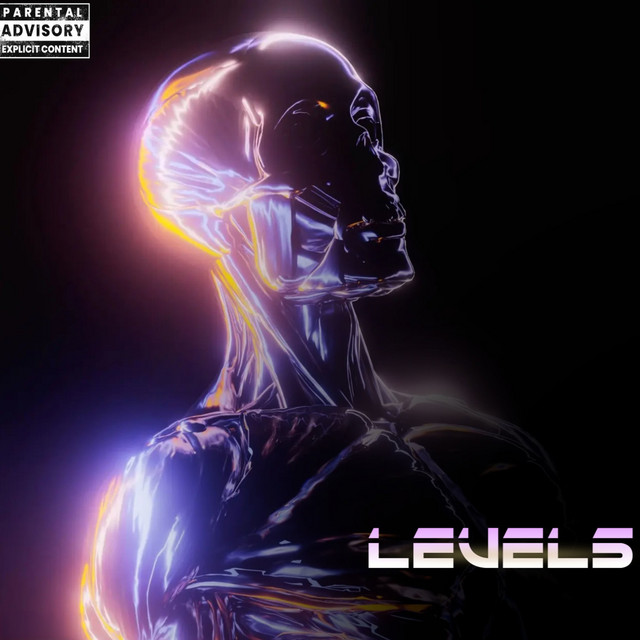 Levels cover art