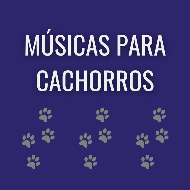 Música para Cães cover art
