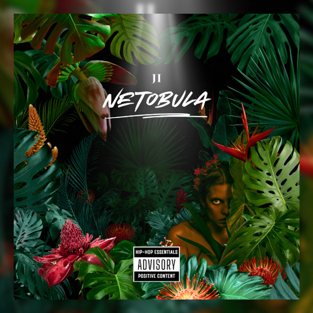 Ji netobula Ava x Deimanė cover art