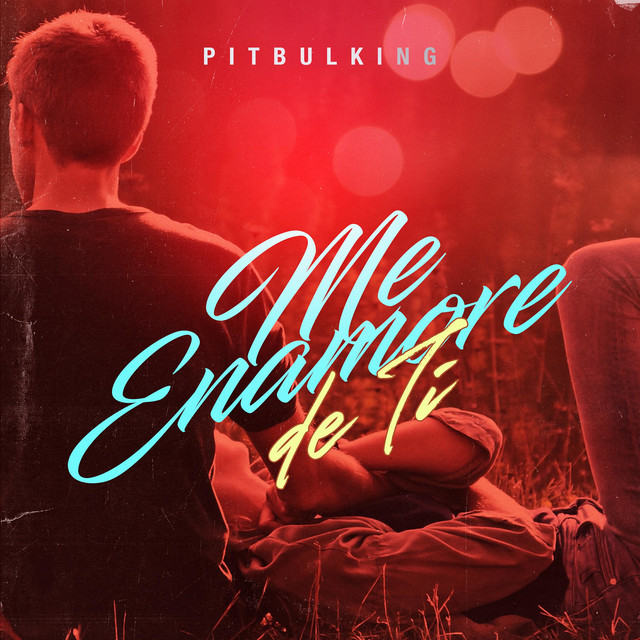 Me Enamore de Ti cover art