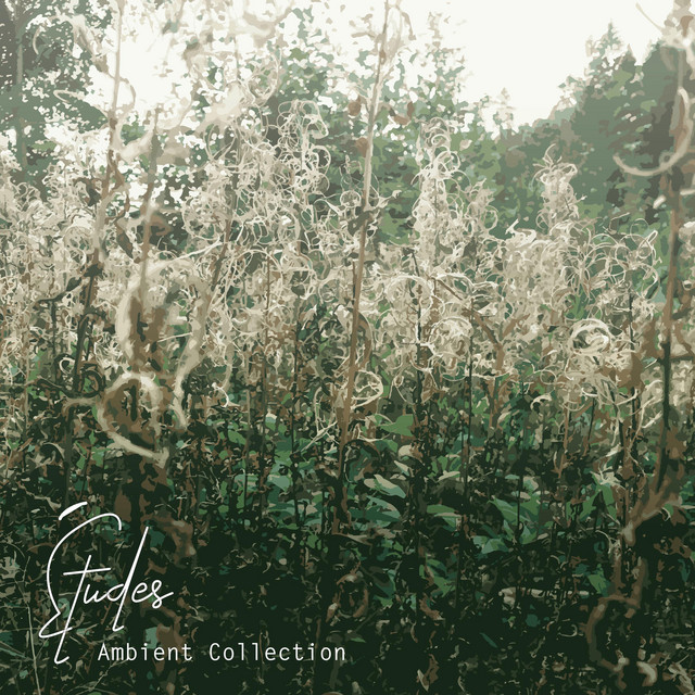 Études : Ambient Collection cover art