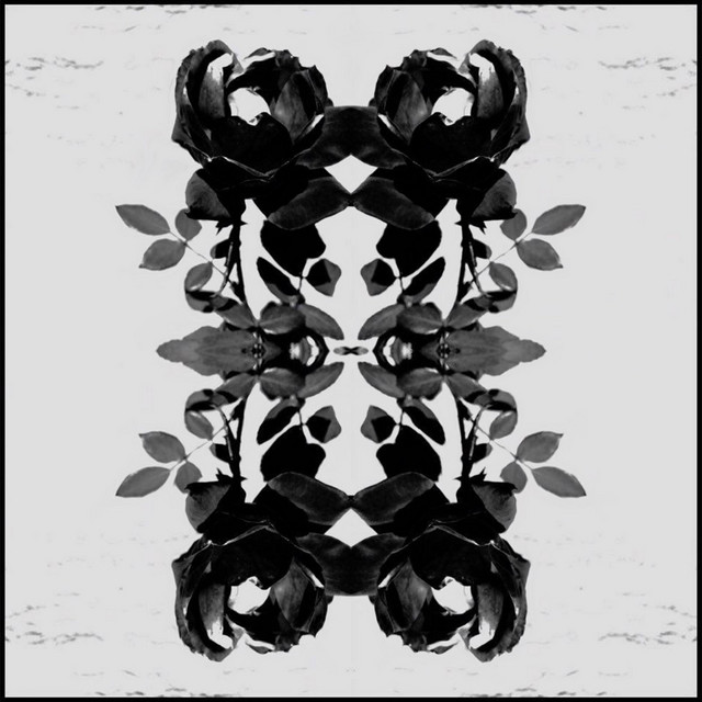 U cover art