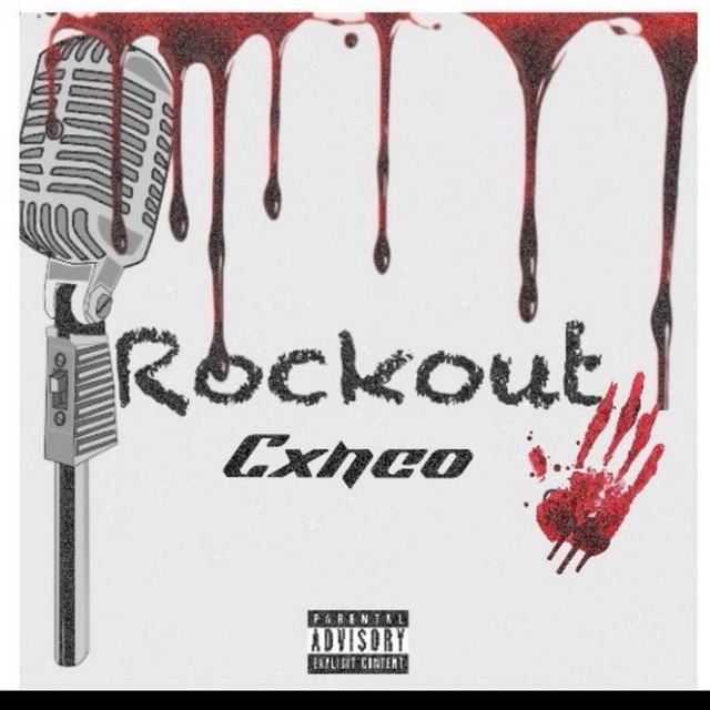 Rockout wit da mic cover art
