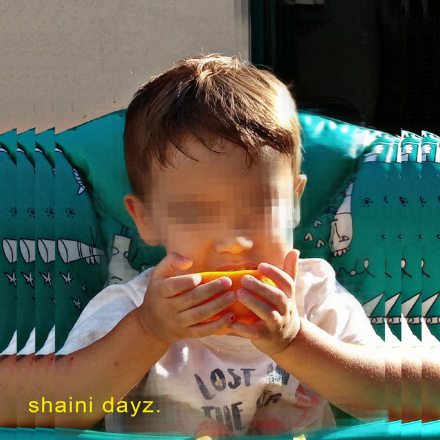 SHAINI DAYZ cover art