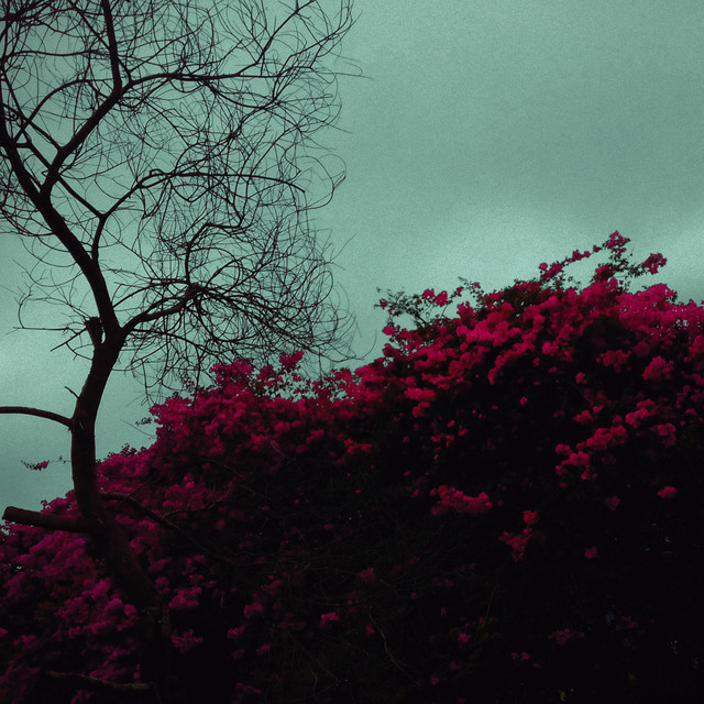 Cartas cover art