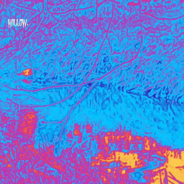 willow. cover art