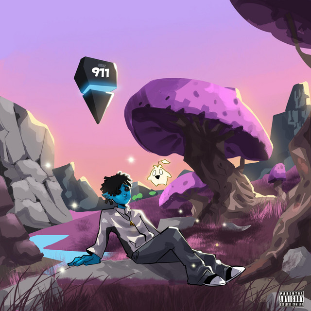 911 cover art