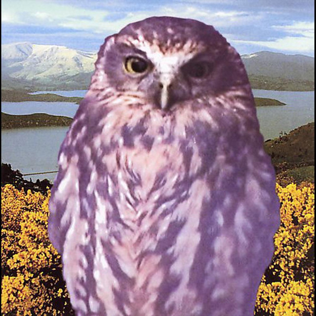 Stories for Late At Night cover art