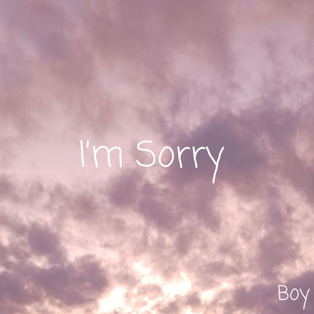 I’m Sorry - Single by Boy | Spotify