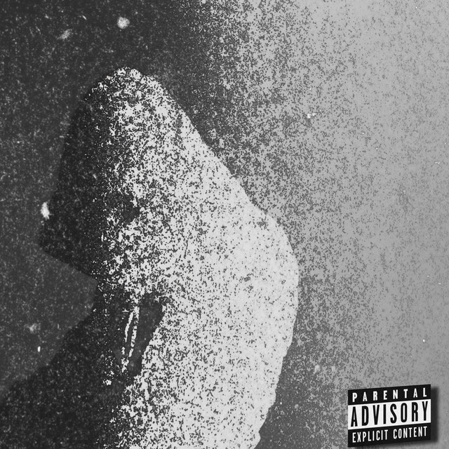 5th cover art
