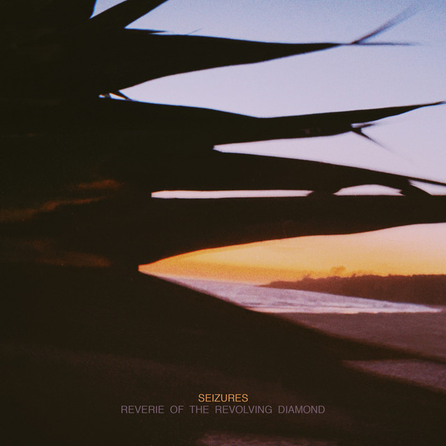 Reverie of the Revolving Diamond cover art