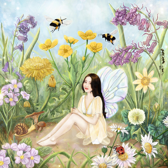 Meadow cover art