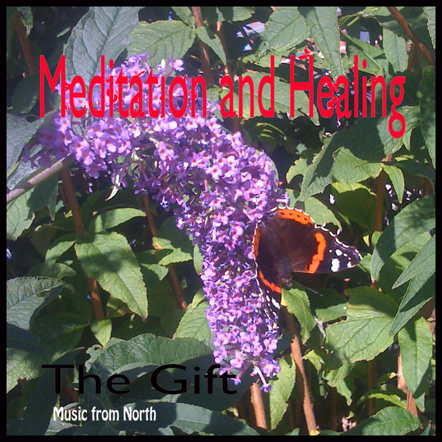 Mediation and Healing cover art