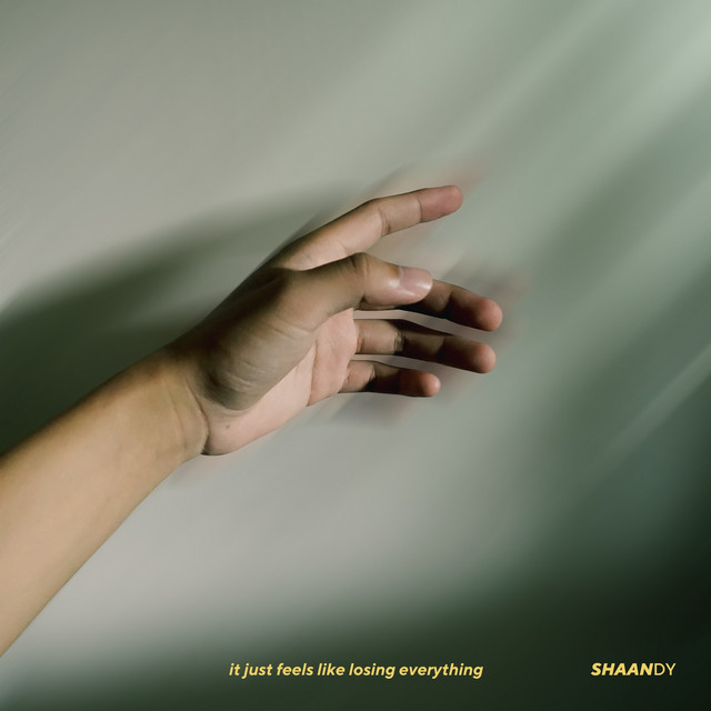 It Just Feels Like Losing Everything cover art