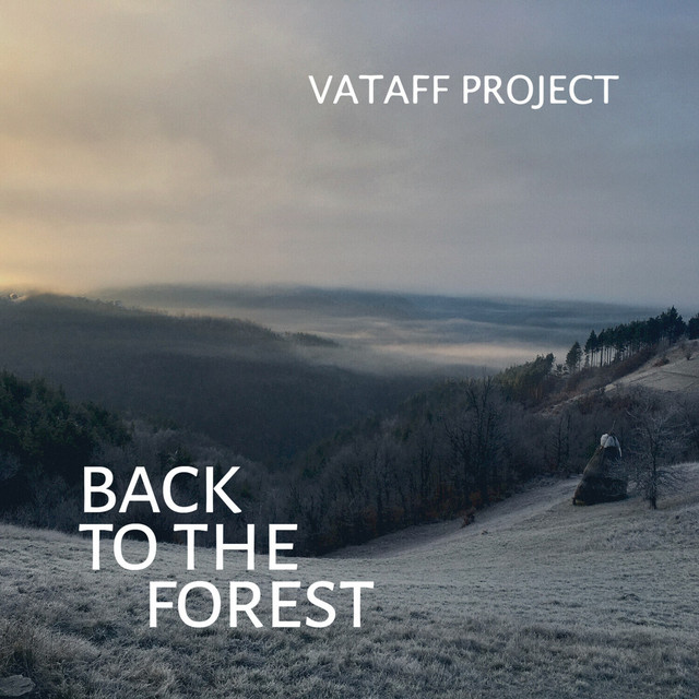 Back to the Forest cover