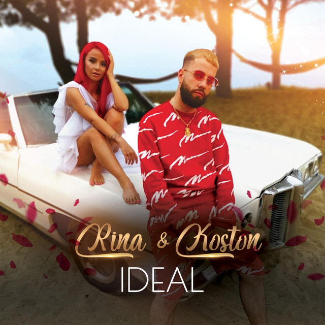 Ideal cover art