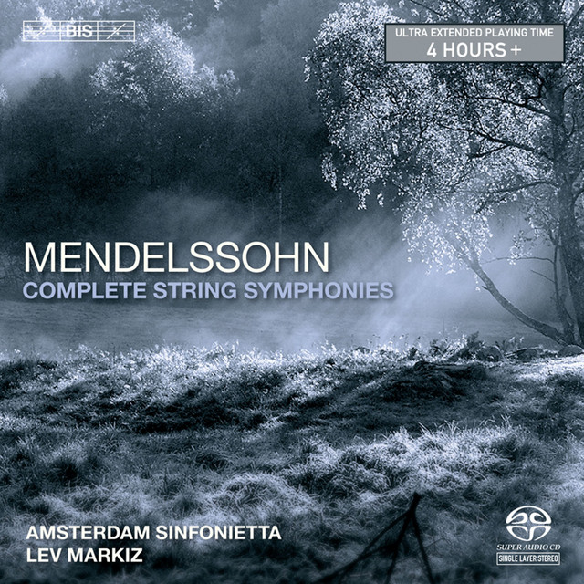 Sinfonia No. 8 in D Major, MWV N8: III. Menuetto. Allegro molto