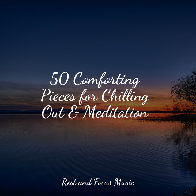 50 Comforting Pieces for Chilling Out & Meditation cover art