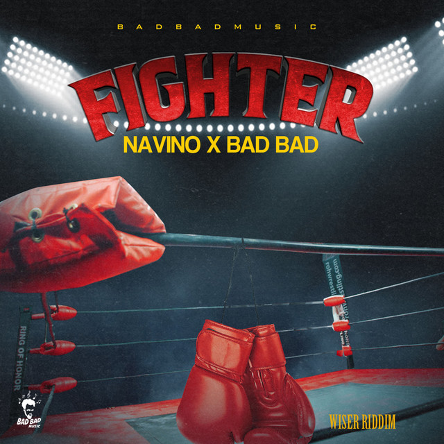 Fighter cover art