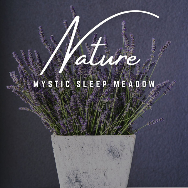 Mystic Sleep Meadow: Nighttime Harmony cover art