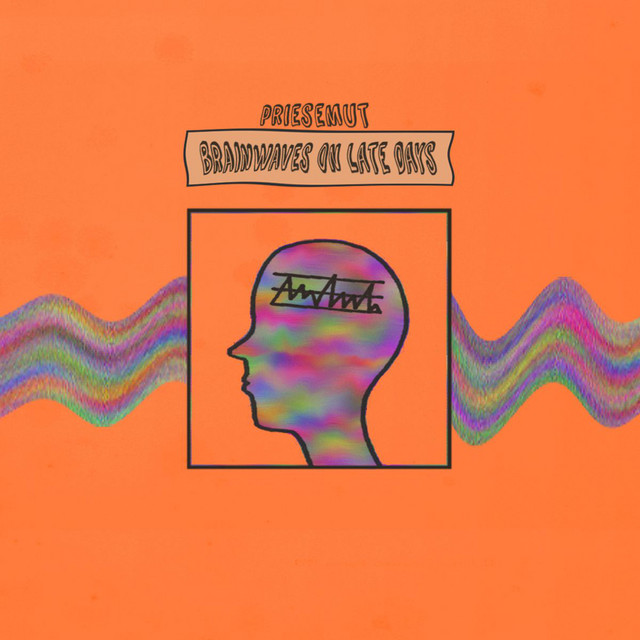 Brainwaves on Late Days cover art