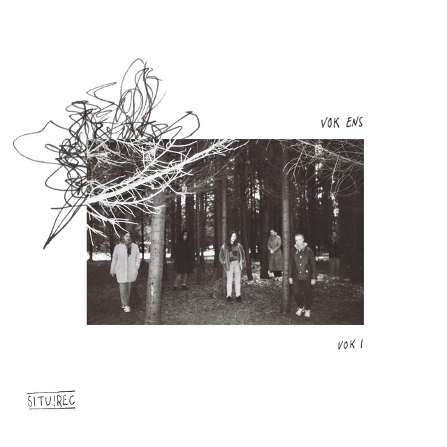 Vok I cover art