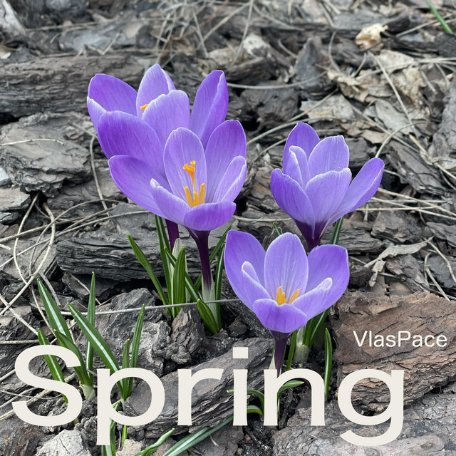 Обкладинка: Spring — VlasPace