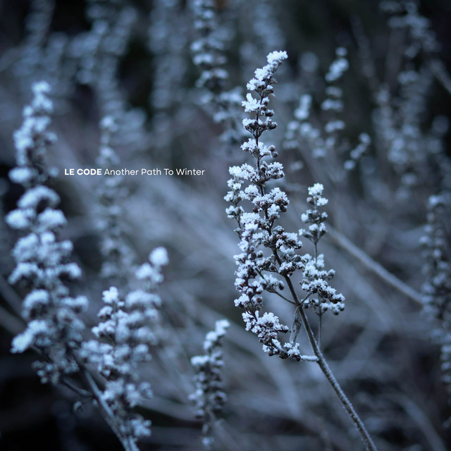 Cover of Another Path to Winter by Le Code