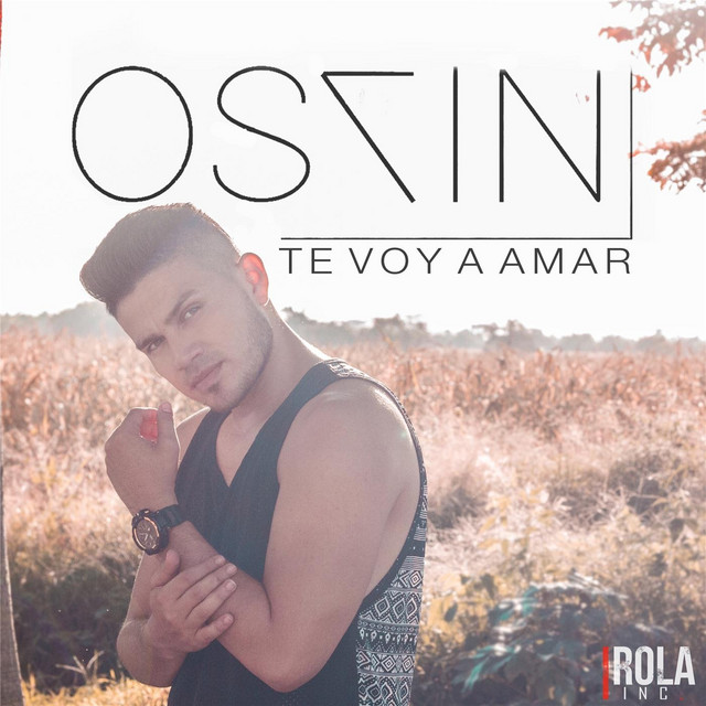 Te Voy a Amar cover