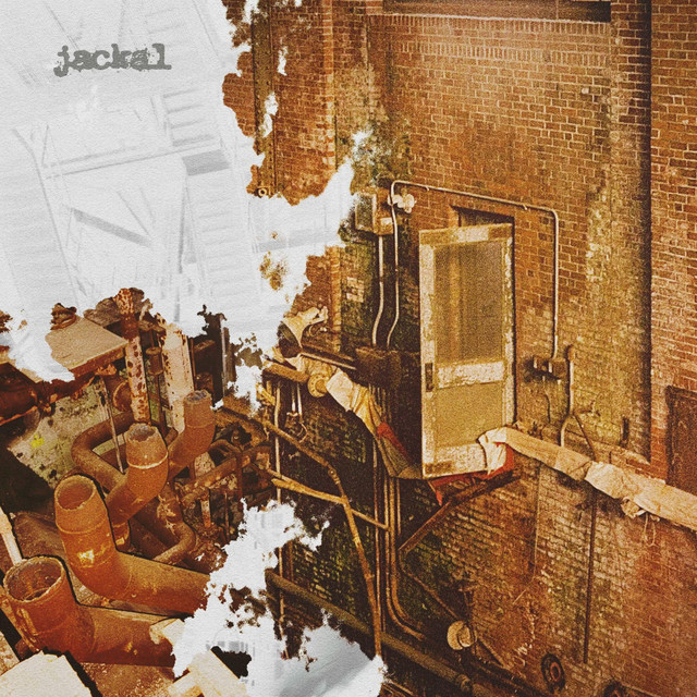 Jackal cover art