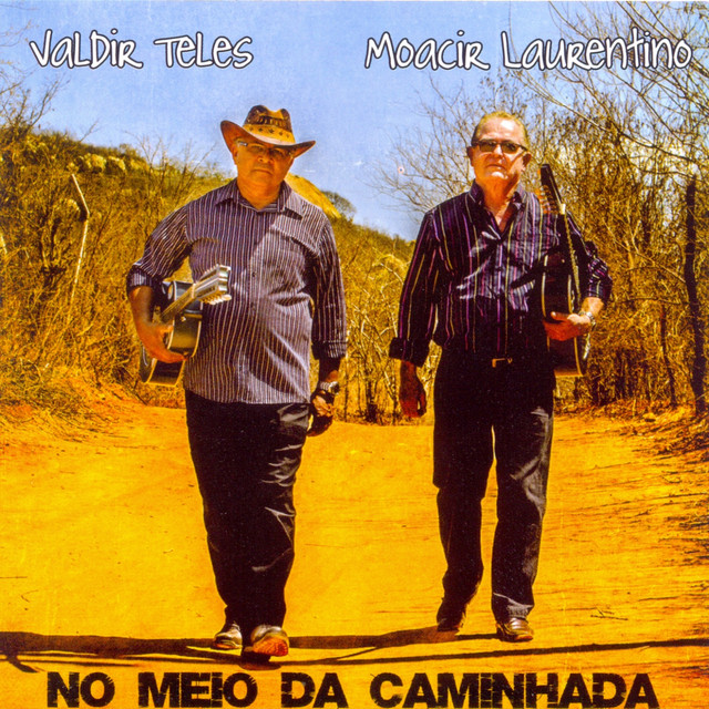 Valdir Teles