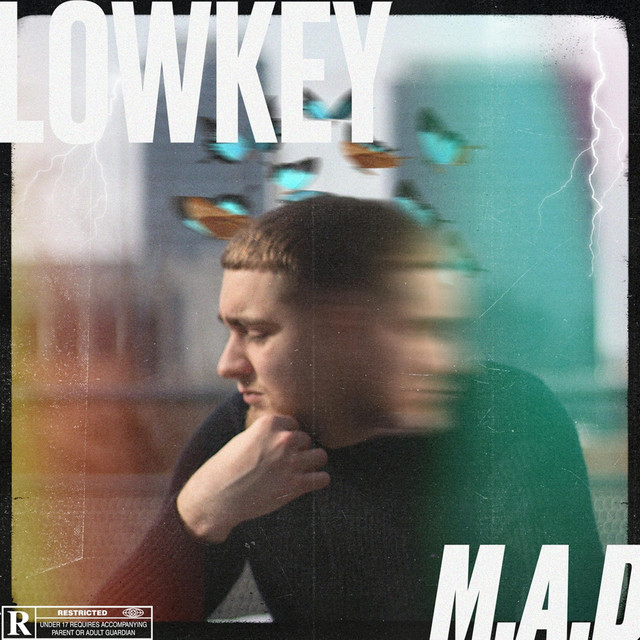 Lowkey cover art
